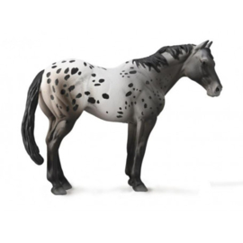 Appaloosa Blue Roan XL 1:20 CollectA 88947