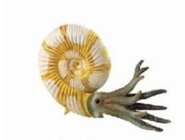 Ammonite  Bullyland 58401