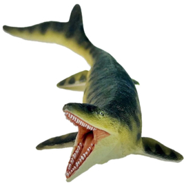 Mosasaurus S 110027