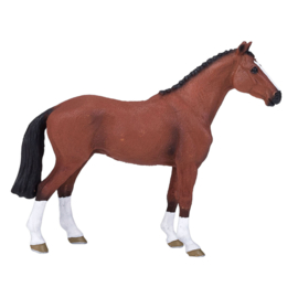 Nederlands Warmbloed 387294
