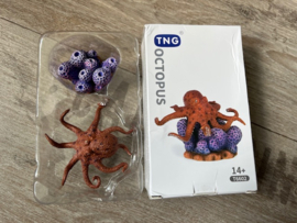 Octopus TNG