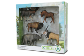 Wild animals  giftset CollectA 89674