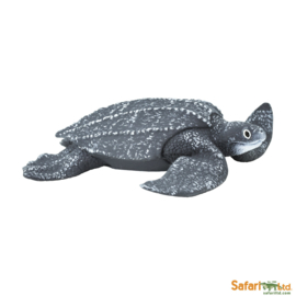 Leatherback Sea Turtle