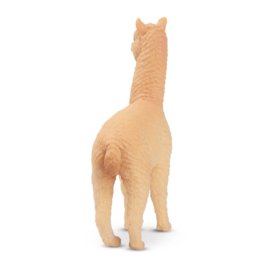 Male Alpaca Toymany