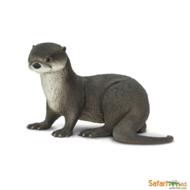 River otter   S 266429