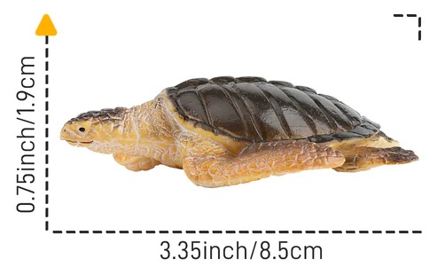 Warana or Pacific ridley sea turtle  Toymany