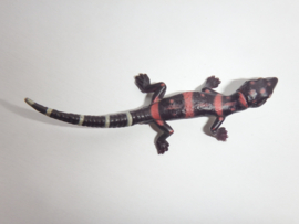 029 Kuroiwa's ground gecko Goniurosaurus kuroiwae