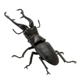 Giraffe sawtooth stagbeetle Bandai