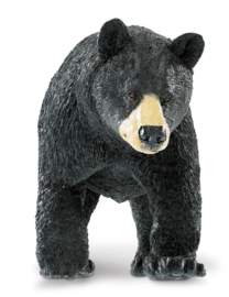 Black Bear   XXL  S111489