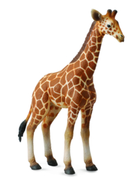 Giraffe  kalf  CollectA 88535