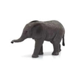 Elephant  calf  Mojo 387190