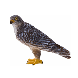 Peregrin falcon  Mojo 381056