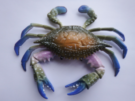 Tropische zwemkrab