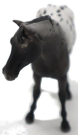 Appaloosa Blue Roan XL 1:20 CollectA 88947