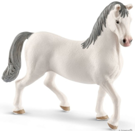 Lipizzaner Stallion Schleich 13887