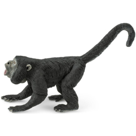 Howler Monkey  S229129