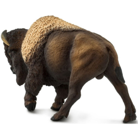 Bison   S100152