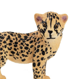 Cheetah cub Toymany