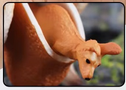 Kangeroe met beweegbare buidel en jong