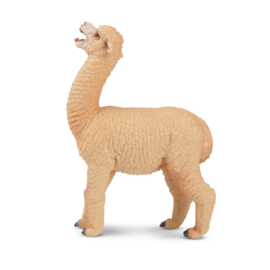 Female Alpaca  Toymany