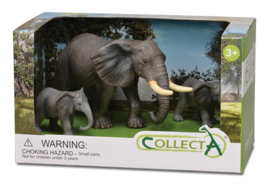 Elephant set- gift box - CollectA 89151