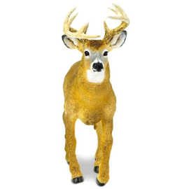 Deer    XXL    S113589