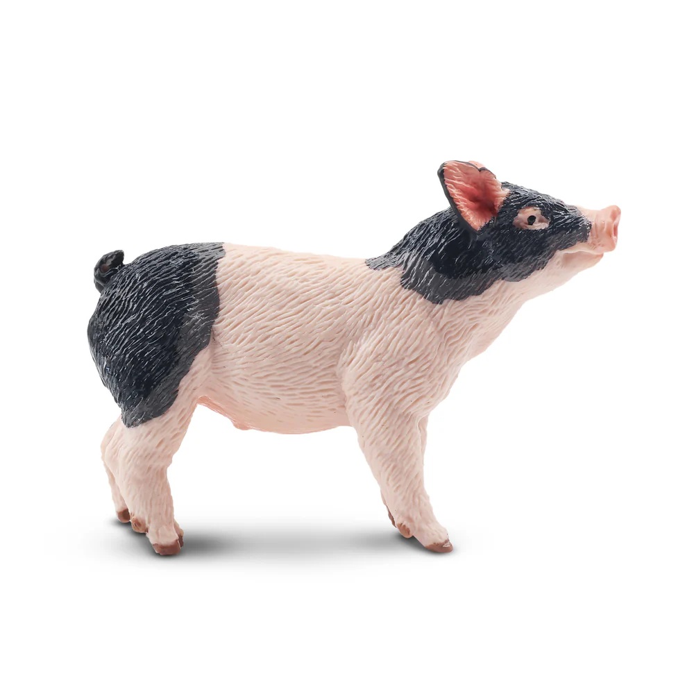 Pietrain Piglet  Toymany