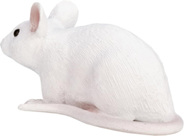 White mouse  Mojo  ‎387235
