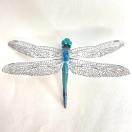 Libelle witpuntoeverlibel (Orthetrum albistylum)