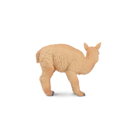 Standing Alpaca Baby  Toymany