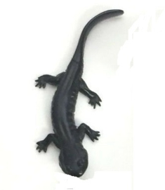 103 Odaigahara Salamander