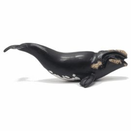 Noordkaper  Right whale  Papo 56057  nieuw