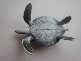 Zeeschildpad groen   medium