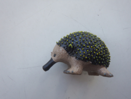 Echidna