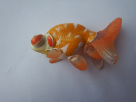 Stargazer small