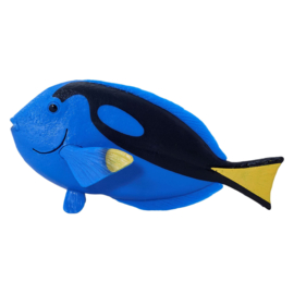 Blue tang    Picasso doktersvis  Mojo 387269