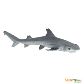 Whitetip Reef Shark   S100100