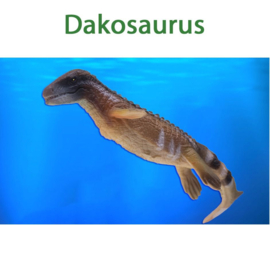 Dakosaurus Paulwin  mini PNSO 043