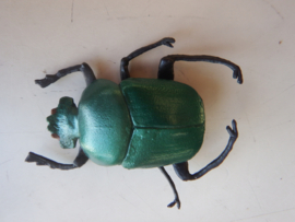 Green beetle