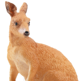 Kangaroo  standing  Toymany