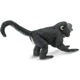 Howler Monkey  S229129