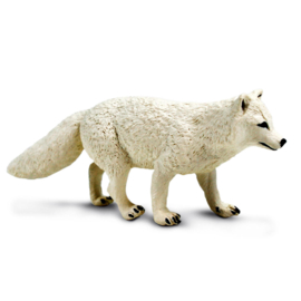 Arctic Fox Safari 100731