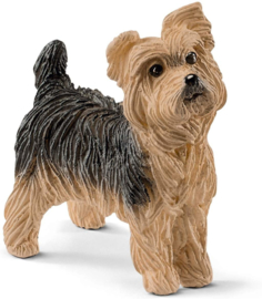 Yorkshire terrier - Schleich 13876