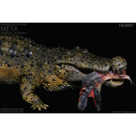Pre-order! Deinosuchus hatcheri  Meta Swamp REBOR 161014