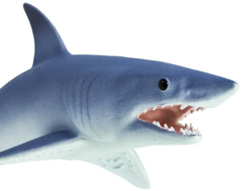 Mako haai   S201929