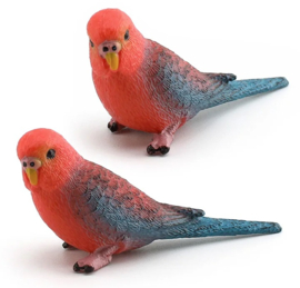 Grasparkiet rood blauw