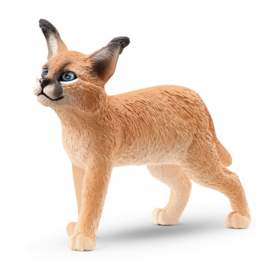 Caracal welp Schleich 14868