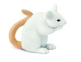 Rat  (mini)