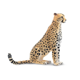 Cheetah vrouwtje zittend Toymany