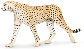 Cheetah   XXL   S112889